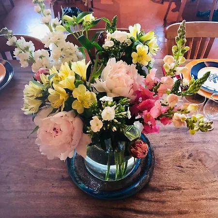 Boutique Maria-christina Saint-Jean-de-Luz