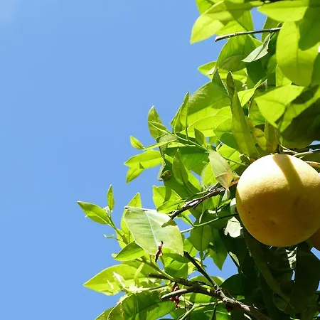 Boutique Maria-christina