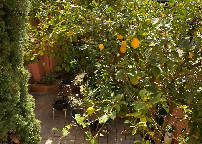 فندق Boutique Maria-christina سان جان دو لوز