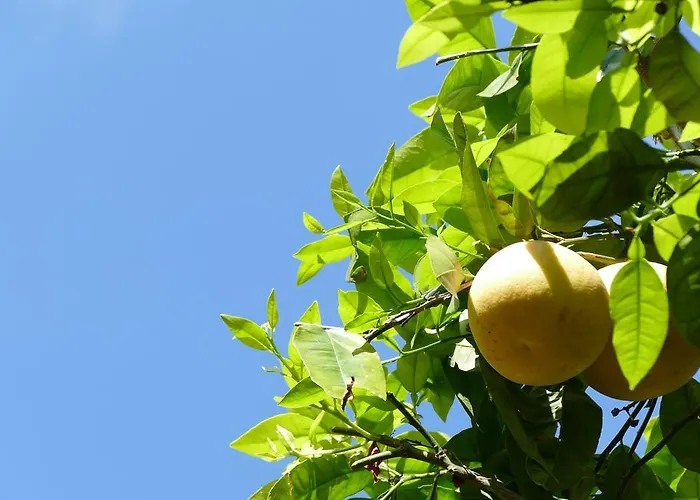 Boutique Maria-christina